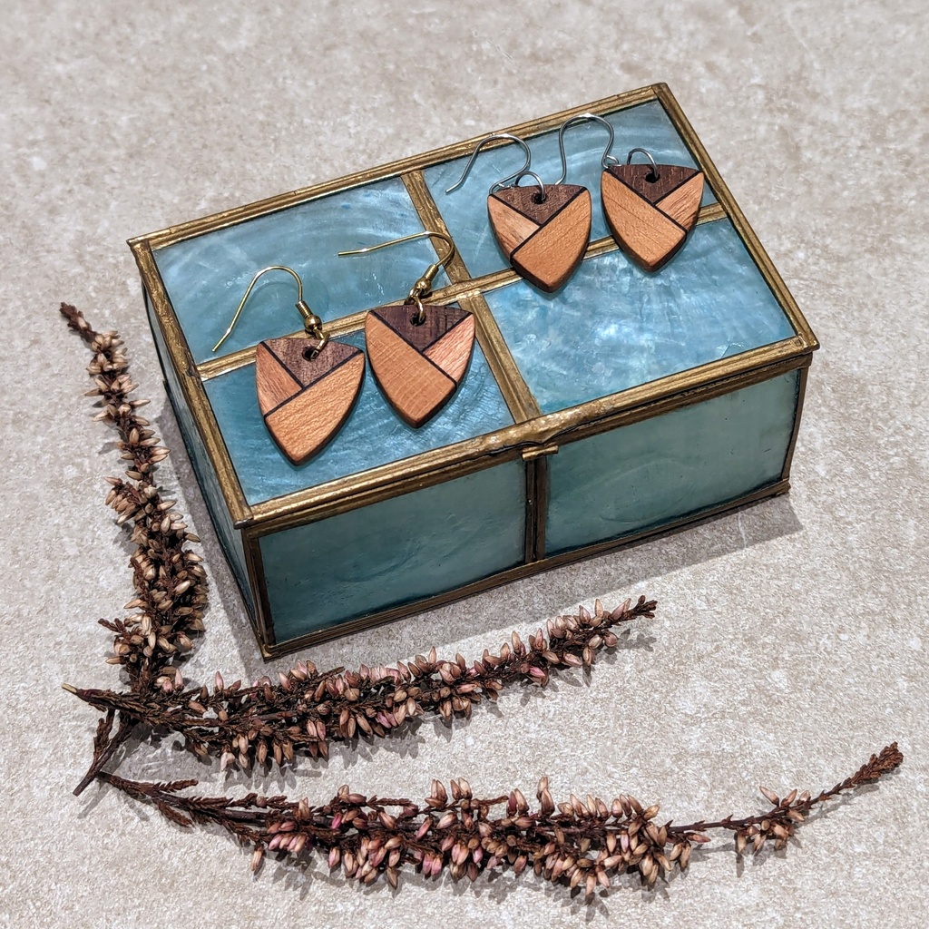 Earrings -