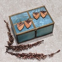 Earrings -
